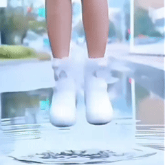 P_008.gif
