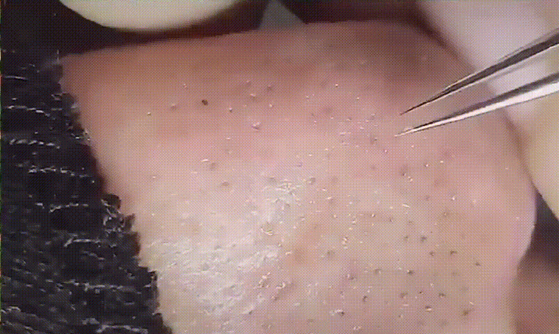20260812_161240_007.gif