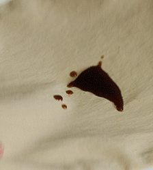 P_018.gif