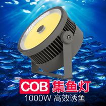 1000 Вт светодиодный светильник высокой мощности для сбора рыбы светильник для морской рыбалки водонепроницаемый светильник для морской рыбалки кальмара 220 В светильник для приманки рыбы