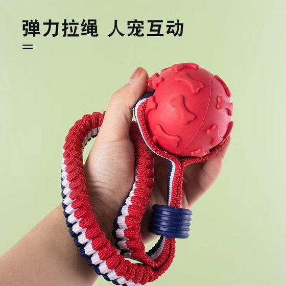 狗狗玩具训狗球耐咬球磨牙解闷神器大型犬马犬训练带绳球宠物用品