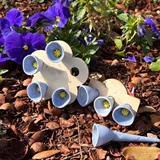 Пчелы пчелиные пчелиные пчелиные пчелы пчелы пчелы пчелы