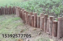 Jiangsu log pile driving wood river berm wooden pile bank protection pine log pile landscaping branch tree pole fir pile