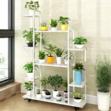 Цветочная стойка Железное искусство комнаты многослойные простые балкон -стойки стойки гостиная приземляются сочные зеленые укроп