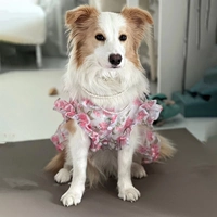 Язык цветов и роз.