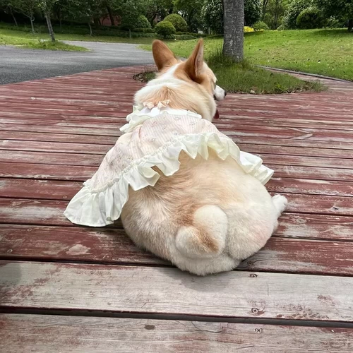 Летняя легкая и тонкая милая юбка с бантиком для принцессы