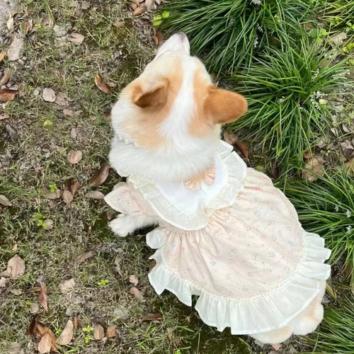 Летняя легкая и тонкая милая юбка с бантиком для принцессы