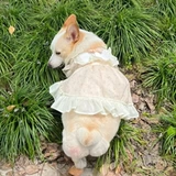 Летняя легкая и тонкая милая юбка с бантиком для принцессы