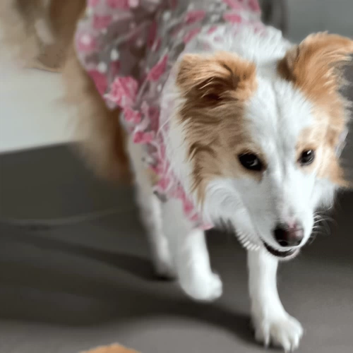 Летний милый наряд маленькой принцессы для принцессы, подходит для подростков, цветочный принт