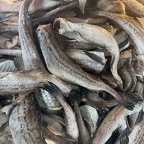 Deep-sea cod headless fish headless and gutted cod pieces pollack baby food supplement saltwater fish pollock