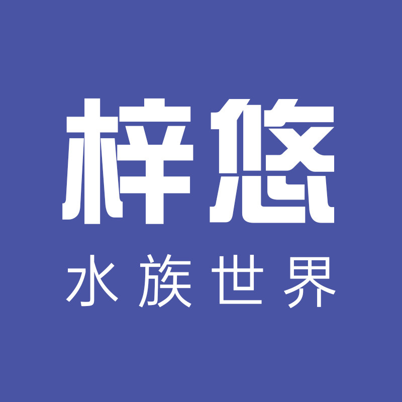 梓悠水族世界企业店