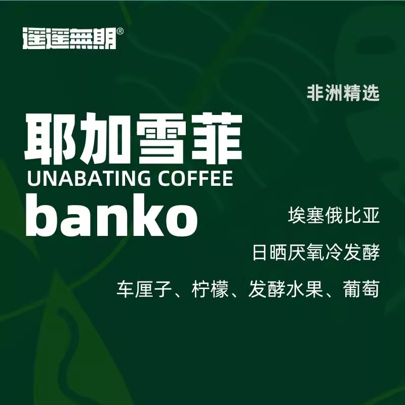 Single Product Series - Yirgacheffe Banko