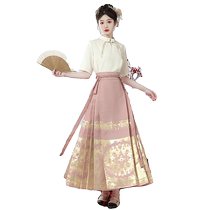 Pink Horse Face Dress Daily Wear Summer Gold Embroidered Engagement Dress New Chinese Dress Registration and Certificate Collection