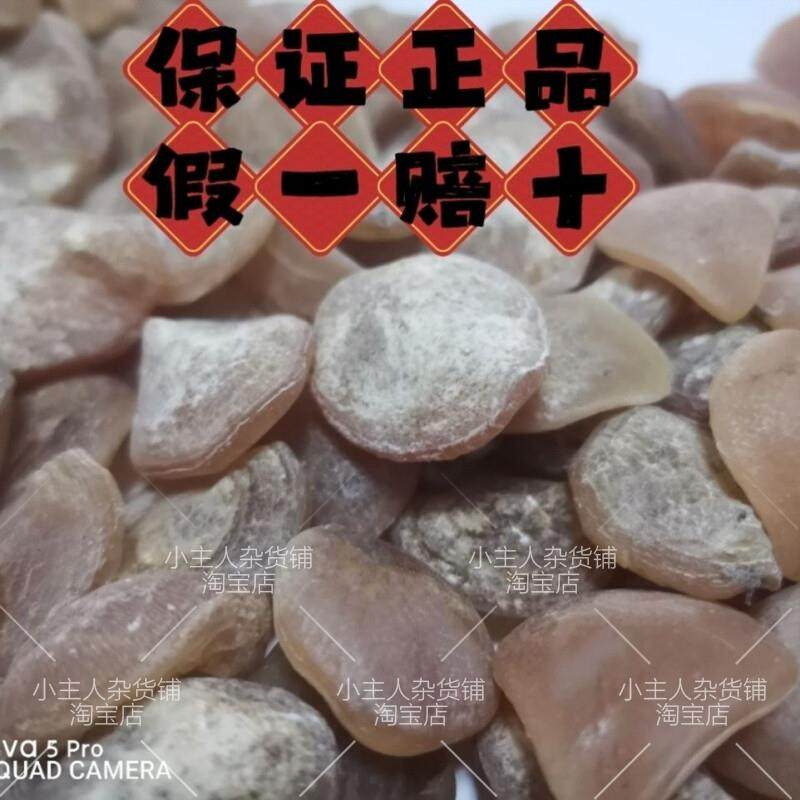 鱼惊石青鱼石原石喉骨舌头防惊吓手串吊坠天然特大乌青鱼精原料-Taobao