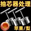 Stainless Steel Pear Corer Tool for Removing Pear Cores, Apple Corer, Fruit Core Remover, Pear Hole Digger, Core Remover