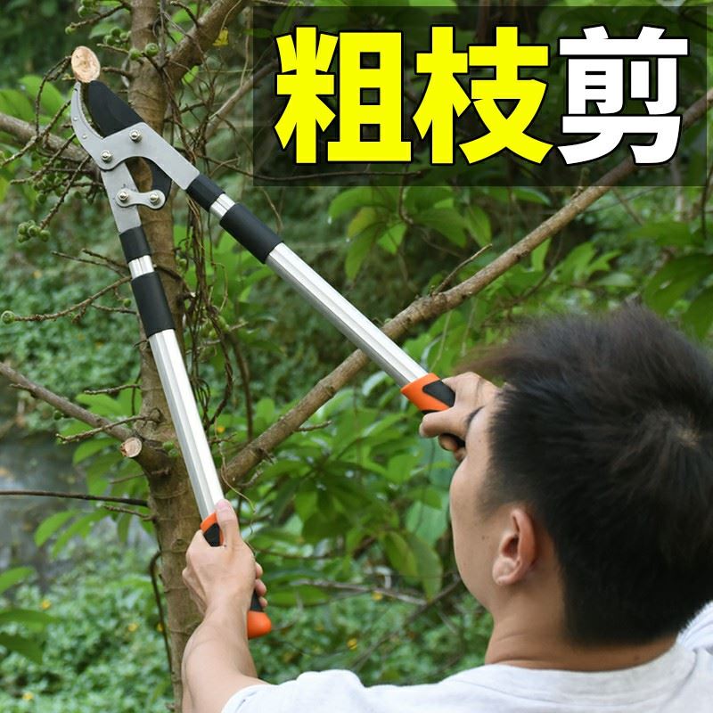 Japanese Seiko New Cut Branches Special Scissors Landscaped Fruit Tree Pruner Pruner Scissors Great Scissors Gardening Labor-saving Coarse Branch Cut-Taobao