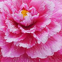Sufa Adult Party Props Peony Flower Umbrella Childrens Dance Hand Flower L Stage Performance Dance Performance Hand Flower