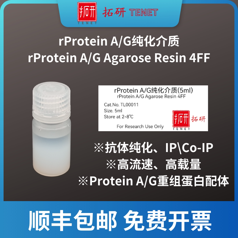 rProtein A/G纯化介质，rProtein A/G Agarose Resin，抗体纯化