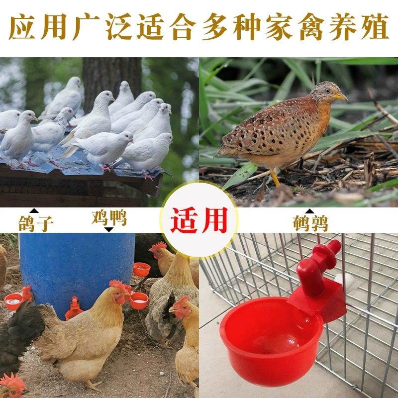 鸡鸭鹅自动喂水器,养殖必备神器,解放双手,轻松养禽!💧-鸟禽喂食器-淘宝百科网