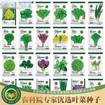 Jingnongyan leafy vegetables, cauliflower, chickpea, chrysanthemum, rocket, perilla, onion, fennel, easy vegetable seeds