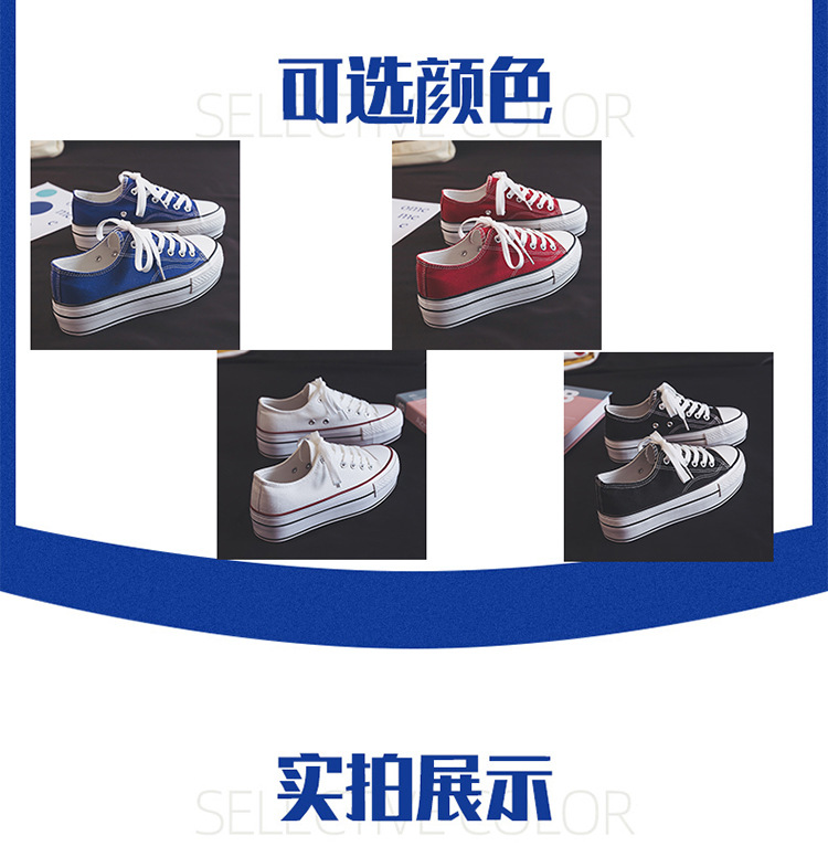 750_04.jpg