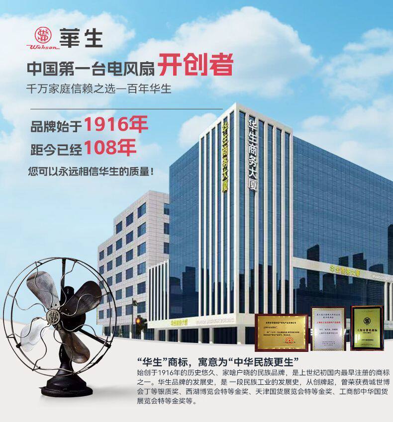 Плиты 华生电炒锅多功能家用铸铁电热锅煮饭蒸炖电炒菜炒锅一体式官方 Wahson