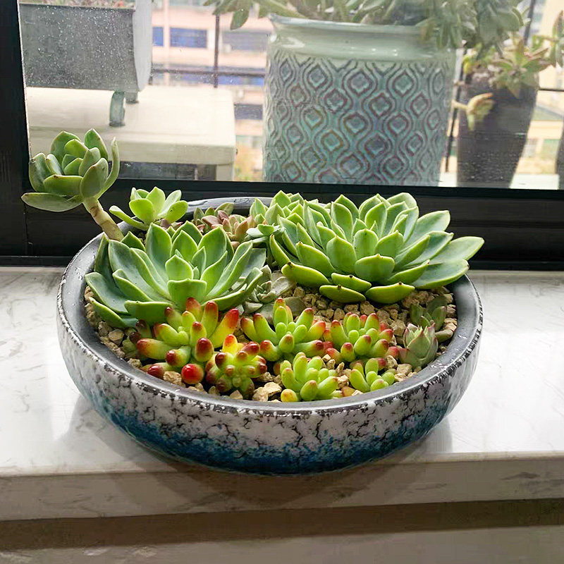 具晟陶瓷企业店