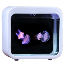 Jellyfish live tank Papua home care for children and students desktop small pets mini lazy aquarium Chiyue