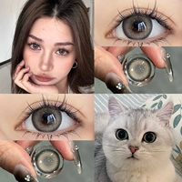 Египетский Святой верблюд 14,2 мм (подача подарочной коробки+Зеркальная коробка)