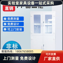 Laboratory Pp Utensil Cabinet Laboratory Laboratory Medicine Cabinet Double Lock Reagent Cabinet Resistant To Acid And Alkali Corrosion Ware Cabinet Safe Storage