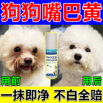Bichon Frizes Mouth Removes Yellow Beard and Red Beard Dogs Mouth Cleansing Mouth Hair Removes Yellow and Whitens Tears No-Water Foam