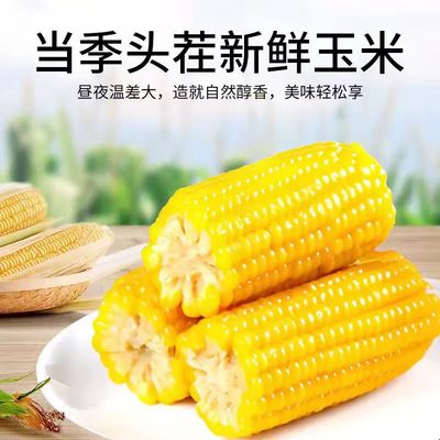 2025头茬黑龙江黄糯玉米低脂代餐