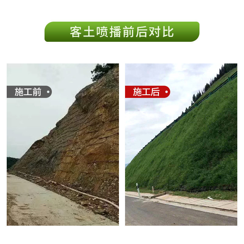 客土喷播施工边坡绿化?矿山复绿必看!高次团粒+铁丝网全解析-安全网-淘宝百科网