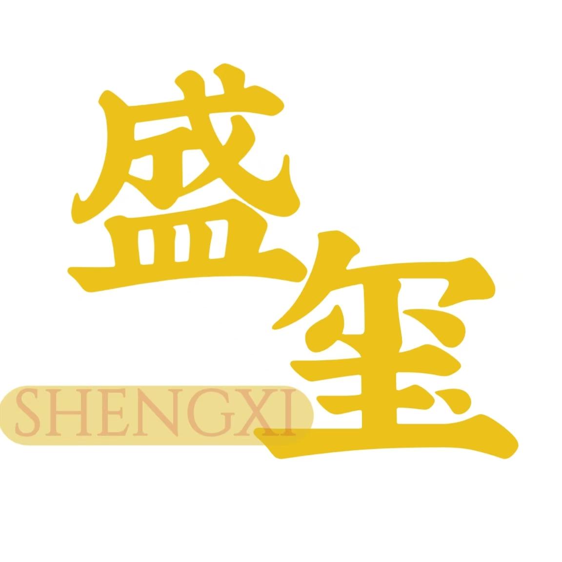 盛玺实业