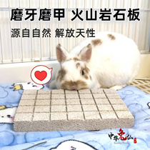 Pet grinding board chinchilla rabbit guinea pig marmot mink claw grinding board volcanic rock large hamster molar stone toy