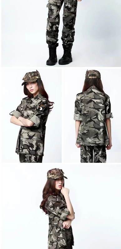 Rat Quite Army fan huấn luyện bộ đồ chiến đấu phù hợp với chiến thuật ngụy trang phù hợp với nữ phù hợp với sư đoàn không quân - Những người đam mê quân sự hàng may mặc / sản phẩm quạt quân đội áo khoác sĩ quan