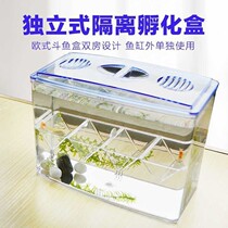 Small fish tank isolation box ornamental fish breeding box guppy spawning room hatching box two-in-one isolation betta fish tank