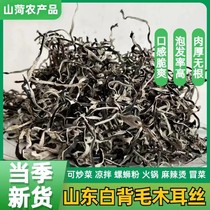 Fungus shredded dry goods white-backed fungus shredded snail powder special ingredients hairy fungus shredded commercial fast food free-cut fungus shredded