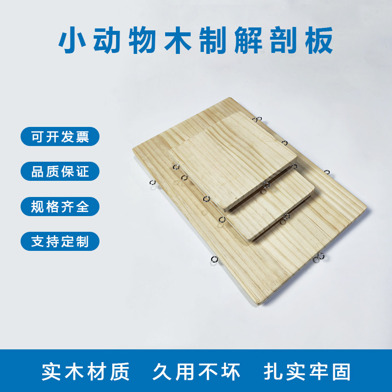 小动物解剖板木制实验教学仪器宠物解刨工具犬鼠蛙类兔子仓鼠通用