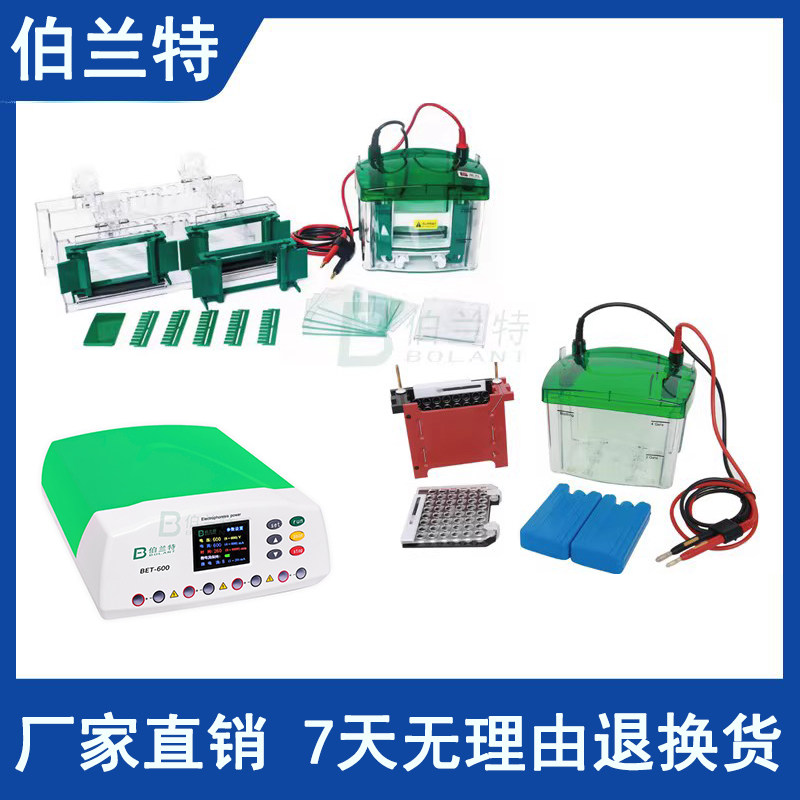 伯兰特通用Bio-Rad/伯乐Mini小型WB垂直电泳槽蛋白槽转印槽制胶