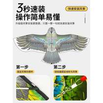 Eagle Kite for Adults Large High-end Breeze Easy to Fly 2024 New Beginner Internet Celebrity Childrens Kite