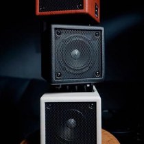 pjb X4 X4C BG80 Bass Speaker Instrument Speaker Bluetooth Speaker