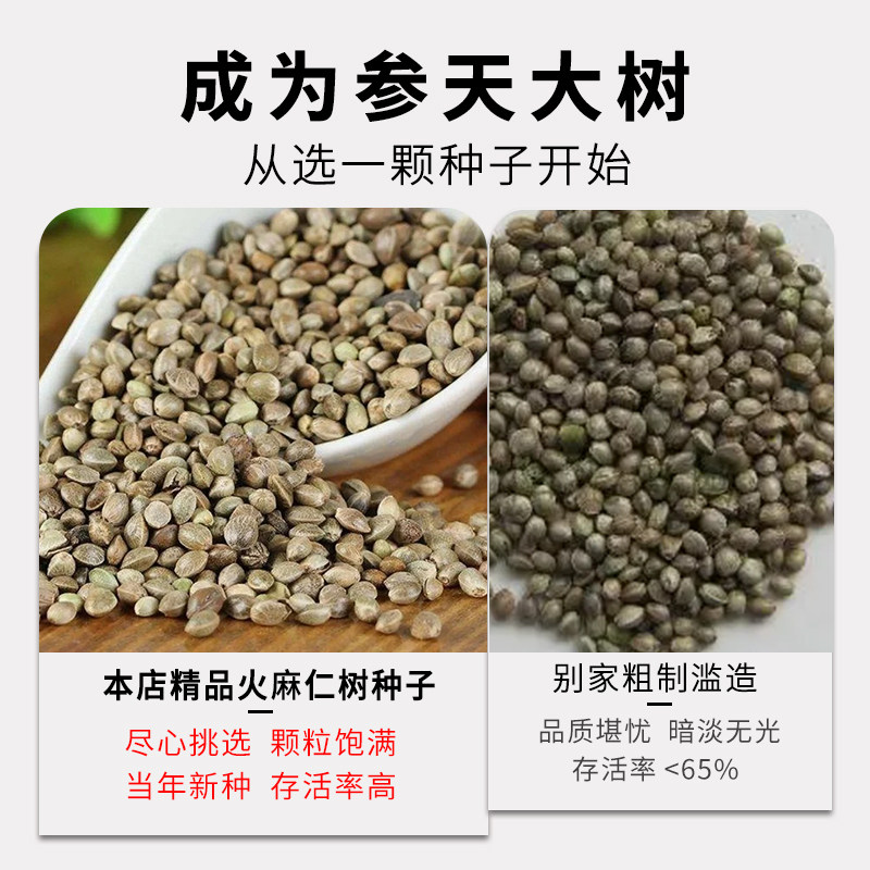 什么是红麻青麻黄麻,它们有什么区别?-打草绳等其他绳子-淘宝百科网
