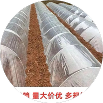 White plastic film small arch shed insulation vegetable greenhouse film mulch film agricultural waterproof road protective film decoration cloth