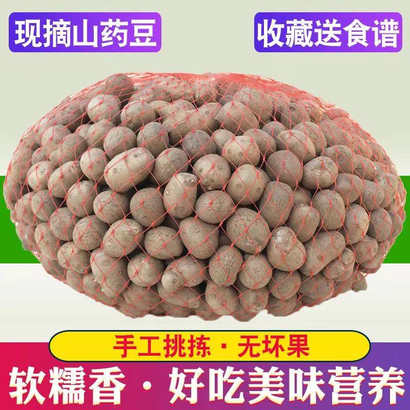 2023 Fresh Iron Stick Yam Beans Non-Wen County Big Fruits Small Seed Vegetable Chen Set Huai Huai Mountain Drug Eggs 5 Catty-Taobao