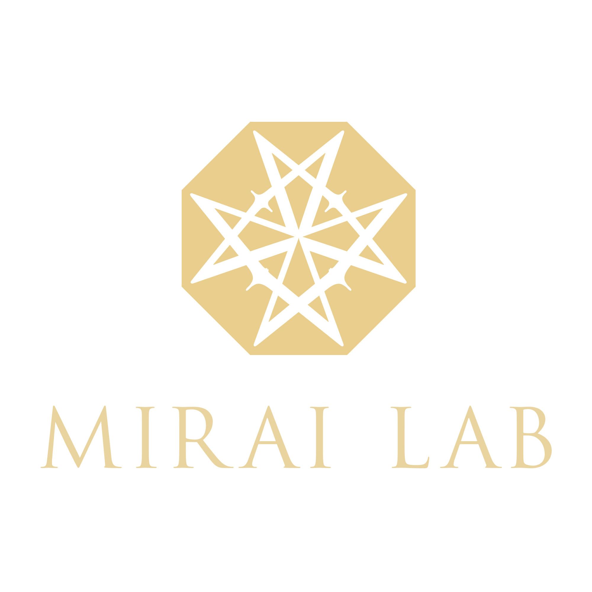 MIRAILAB海外旗舰店