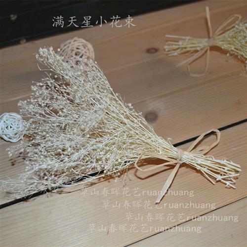 University Construction Dry flowers Full Star bouquet Home Residence Decoration Shooting Small Props DIY Model Materials Hand-Taobao