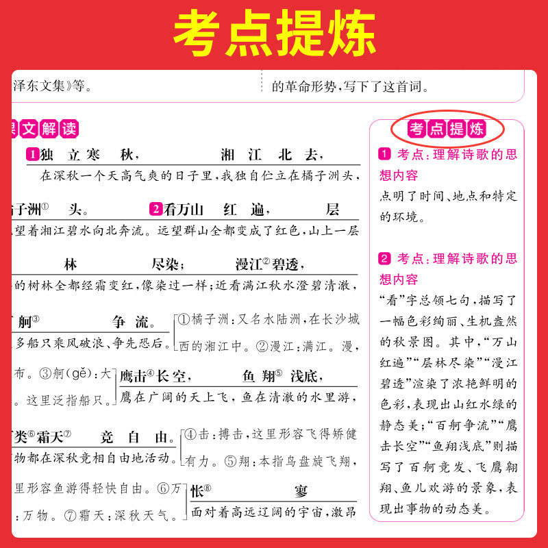 语文报《初中文言实词一本通》:掌握古文秘籍,轻松拿高分!📚 -其它类期刊订阅-淘宝百科网