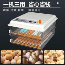 The machine of the hatchery chicken is reported with the equipment of the small chicken the small chicken domestic eggplant huddler warming the floating hatching egg machine multifunction