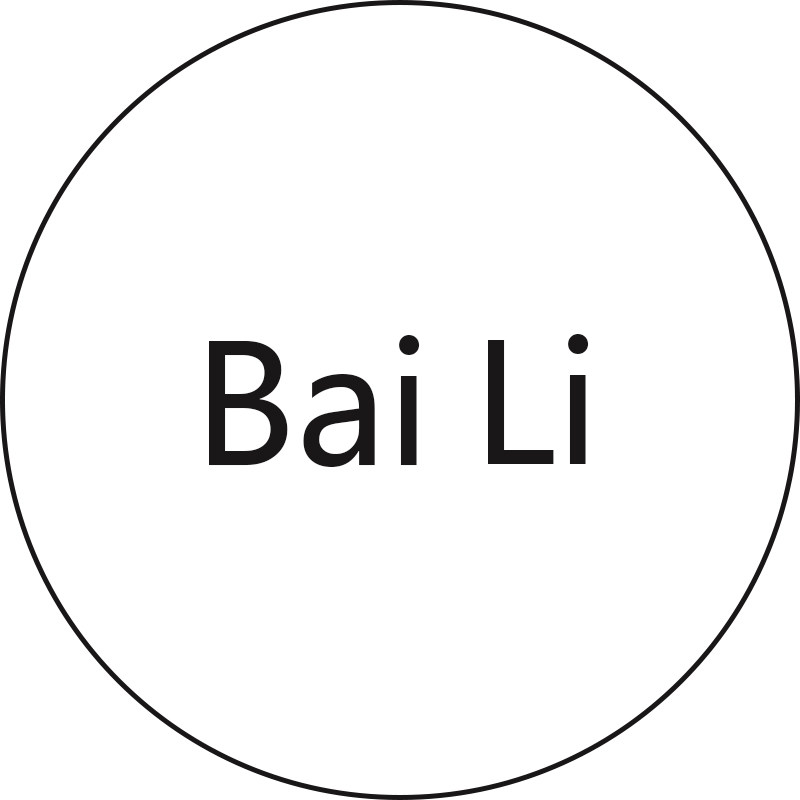 白里饰品